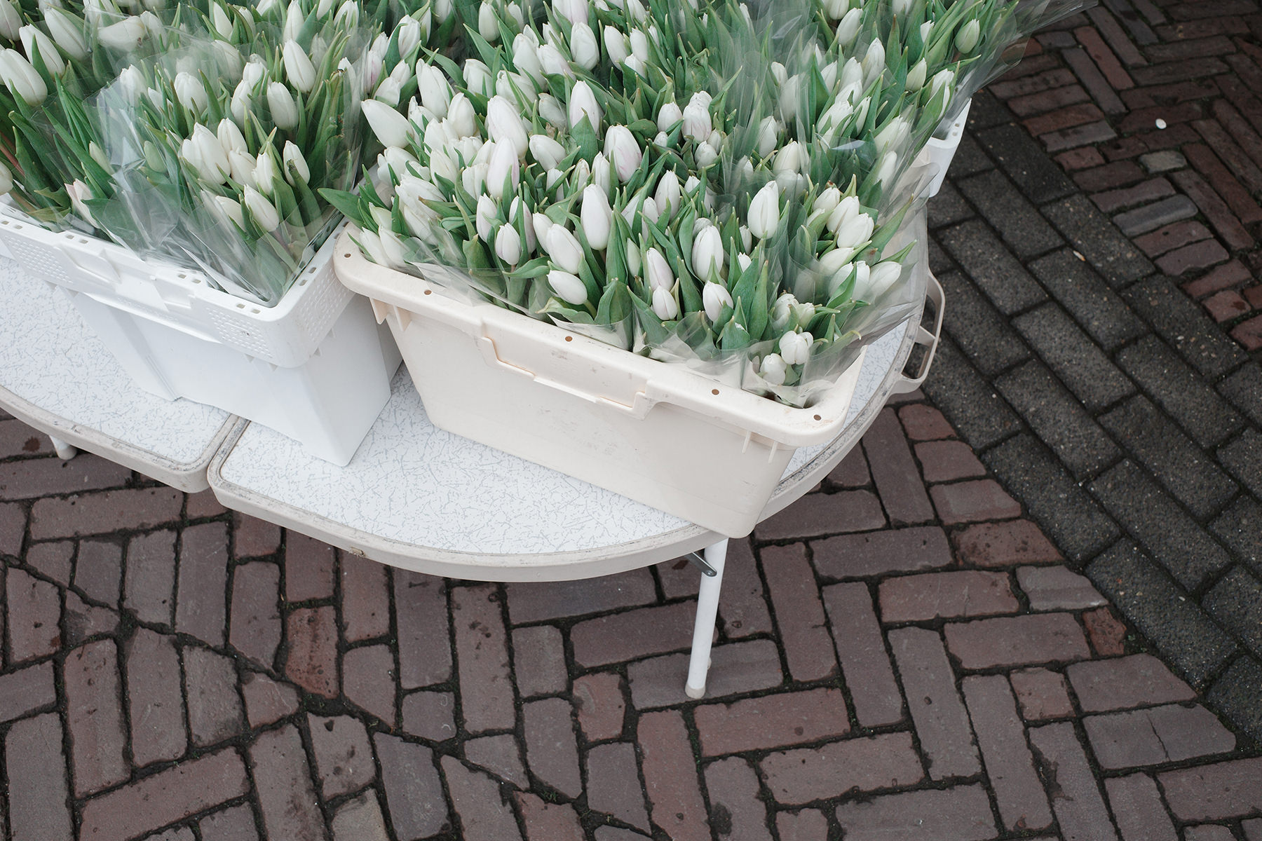 Ein Wochenende in Holland